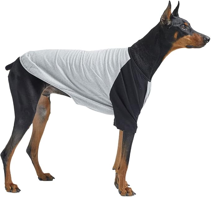 Dog Shirt for Small and Large Dogs Raglan Cotton T-Shirts Soft Breathable Dog Shirts pet Clothes Gray Series (2X-Large, Gray/Black)