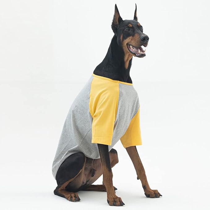 Dog Shirt for Small and Large Dogs Raglan Cotton T-Shirts Soft Breathable Dog Shirts pet Clothes Gray Series (5X-Large, Gray/Yellow)