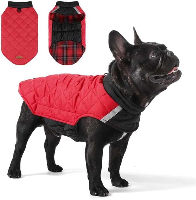 Reversible Waterproof Dog Coat - Adjustable Winter Jacket for Small to Large Breeds, Warm Cold Weather Apparel for Medium Dogs (Red & Black, Large (Pack of 1))
