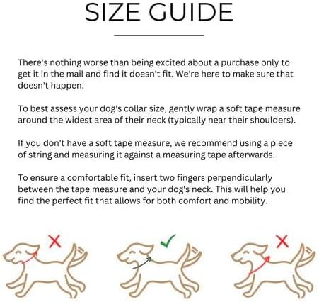 Two Tails Pet Company Cactus Vegan Leather Dog Collar, Adjustable Pet Collar With Gold Hardware and D Rings for Leash and ID Tag for Dogs and Puppies, Easy to Clean & Eco Friendly, Caramel, Size Small