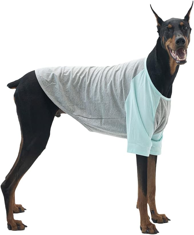 Dog Shirt for Large Dogs, Grey, X-Large, Raglan Cotton T-Shirt