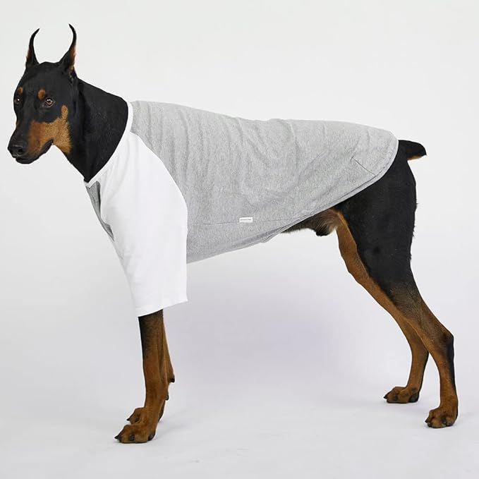 Dog Shirt for Small and Large Dogs Raglan Cotton T-Shirts Soft Breathable Dog Shirts pet Clothes Gray Series (3X-Large, Gray/White)