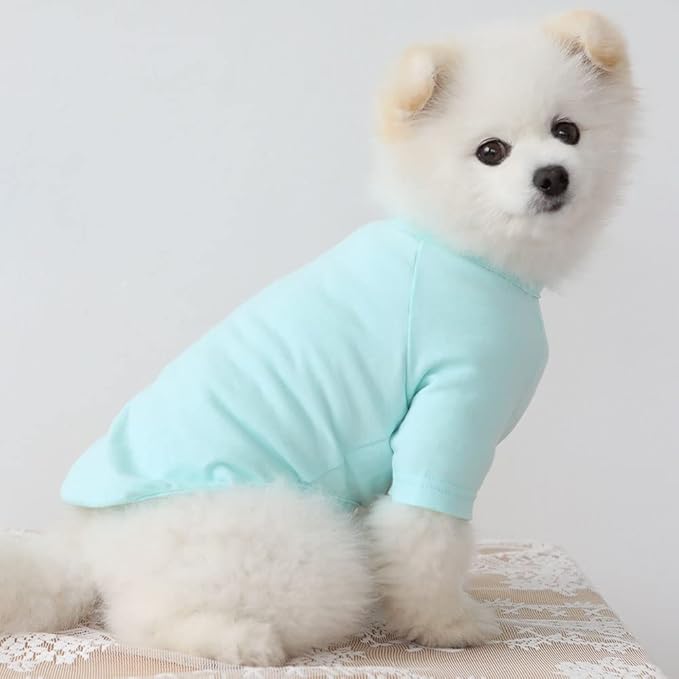 Dog Shirt for Small Dogs Plain T-Shirts Soft Breathable Dog Cotton Shirt pet Clothes (Large, Mint)