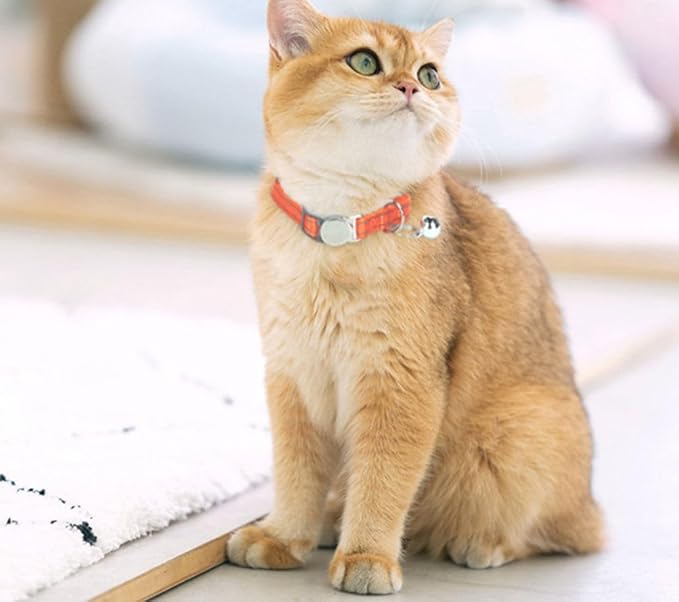Orange Cat Bell Collar Reflective, Soft Nylon Break Away Kitten Collar with Bells, Breakaway Puppy Collar for XXS Xs Small Dogs, Neck 7-11 Inch