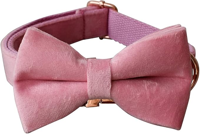 Dog Collar Custom Personalized Engraved Name and Phone Number for Puppy Small Medium Large Pets (L, Pink)