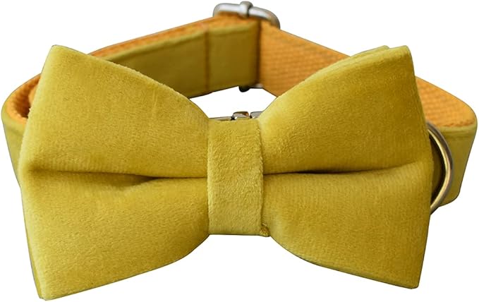 Dog Collar Custom Personalized Engraved Name and Phone Number for Puppy Small Medium Large Pets (S, Yellow)