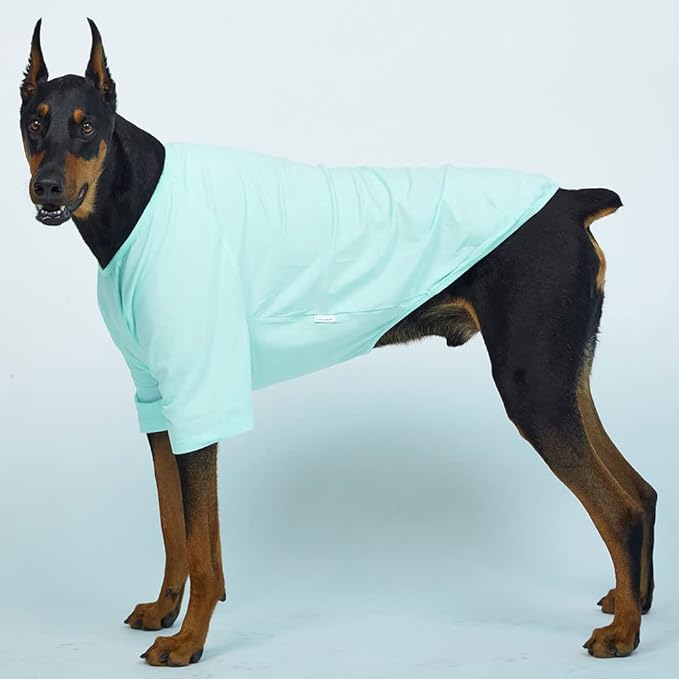 Dog Shirt for Small Dogs Plain T-Shirts Soft Breathable Dog Cotton Shirt pet Clothes (3X-Large, Mint)