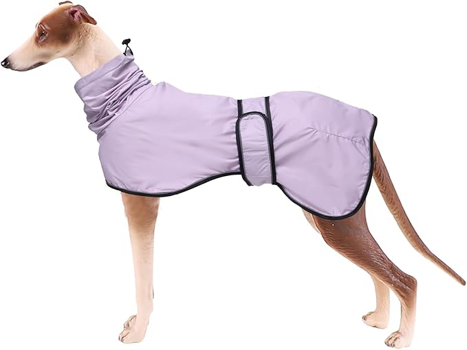 Dog Raincoat with Reflective Bar, Rain/Water Resistant, Adjustable Vest - Dog Raincoats for Greyhounds, Lurchers and Whippets - Purple - XL