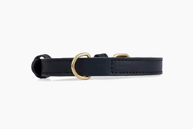 Two Tails Pet Company Cactus Vegan Leather Dog Collar, Adjustable Pet Collar with Gold Hardware and D Rings for Leash and ID Tag for Dogs and Puppies, Easy to Clean & Eco Friendly, Black, Size Small