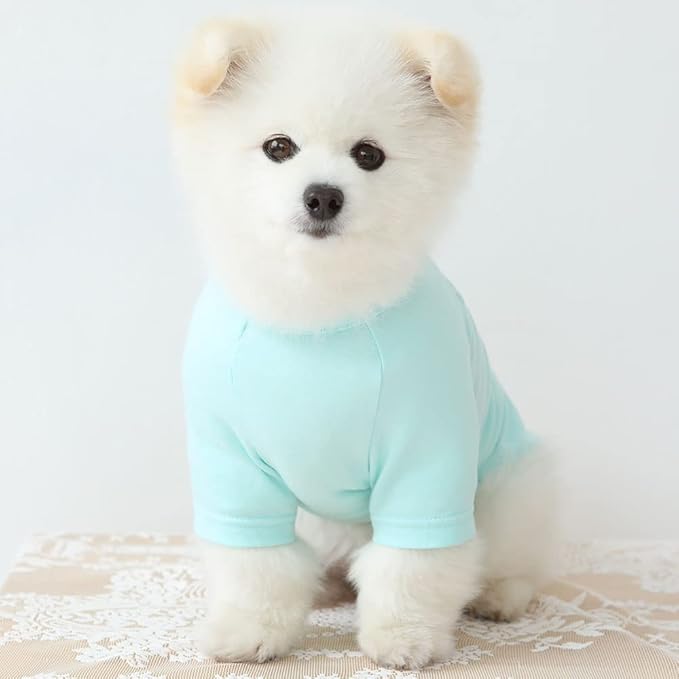 Dog Shirt for Small Dogs Plain T-Shirts Soft Breathable Dog Cotton Shirt pet Clothes (Large, Mint)