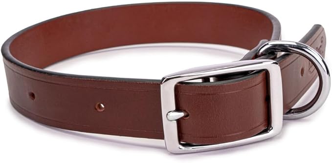 King Buck Leather Dog Collar with D Ring, Leather, Large