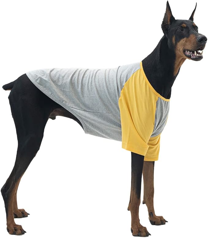 Dog Shirt for Small and Large Dogs Raglan Cotton T-Shirts Soft Breathable Dog Shirts pet Clothes Gray Series (2X-Large, Gray/Yellow)