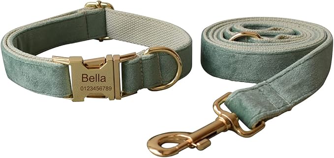 Dog Collar Custom Personalized Engraved Name and Phone Number for Puppy Small Medium Large Pets (S, Fruit Green)