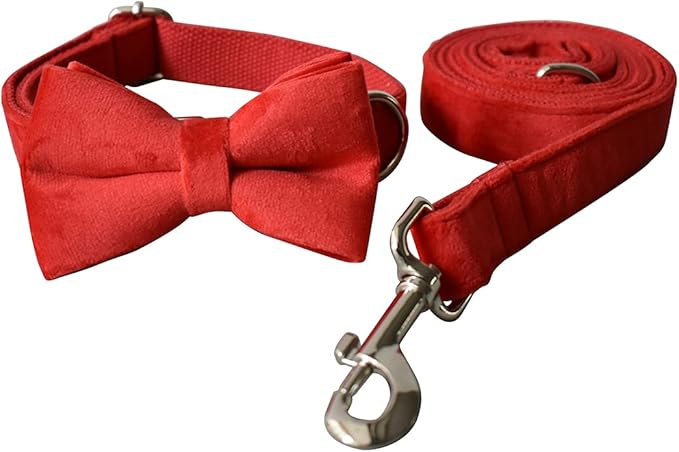 Dog Collar Custom Personalized Engraved Name and Phone Number for Puppy Small Medium Large Pets (L, Red)