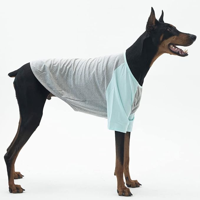 Dog Shirt for Small and Large Dogs Raglan Cotton T-Shirts Soft Breathable Dog Shirts pet Clothes Gray Series (2X-Large, Gray/Mint)