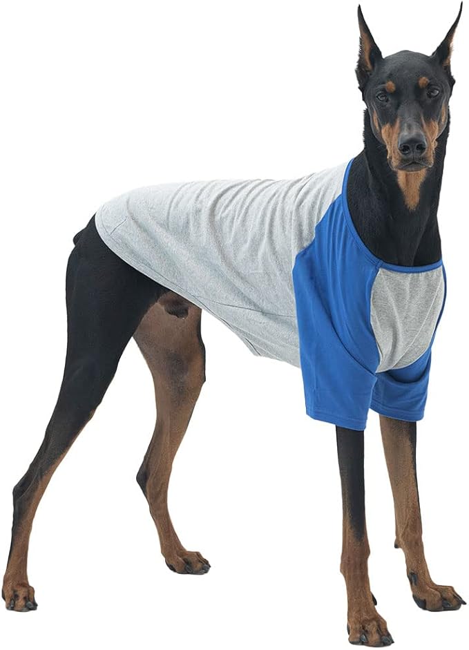 Dog Shirt for Small and Large Dogs Raglan Cotton T-Shirts Soft Breathable Dog Shirts pet Clothes Gray Series (4X-Large, Gray/Blue)