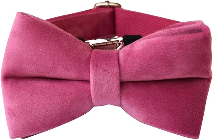 Dog Collar Custom Personalized Engraved Name and Phone Number for Puppy Small Medium Large Pets (S, Rose)