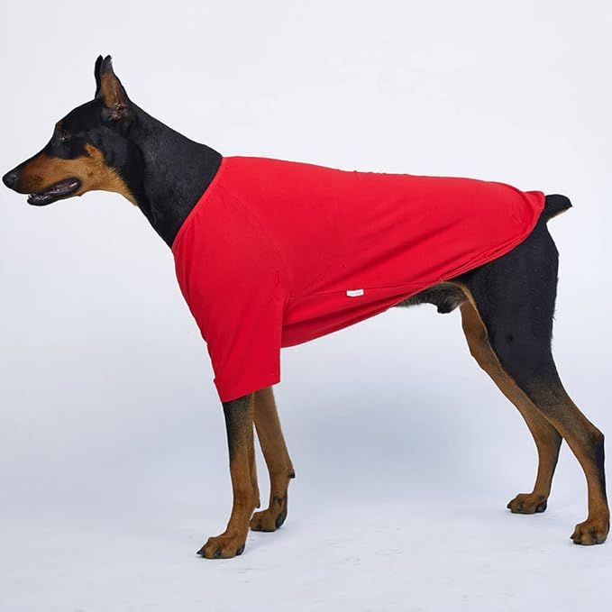 Dog Shirt for Small Dogs Plain T-Shirts Soft Breathable Dog Cotton Shirt pet Clothes (3X-Large, Red)