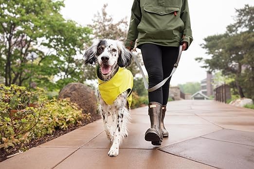 Goldpaw Rainpaw Waterproof Dog Raincoat - Durable Dog Rain Jacket for All Seasons - Easy to Wear, Adjustable, Premium Pet Outerwear - Made in The USA - Machine Washable - Beetroot - Size 8