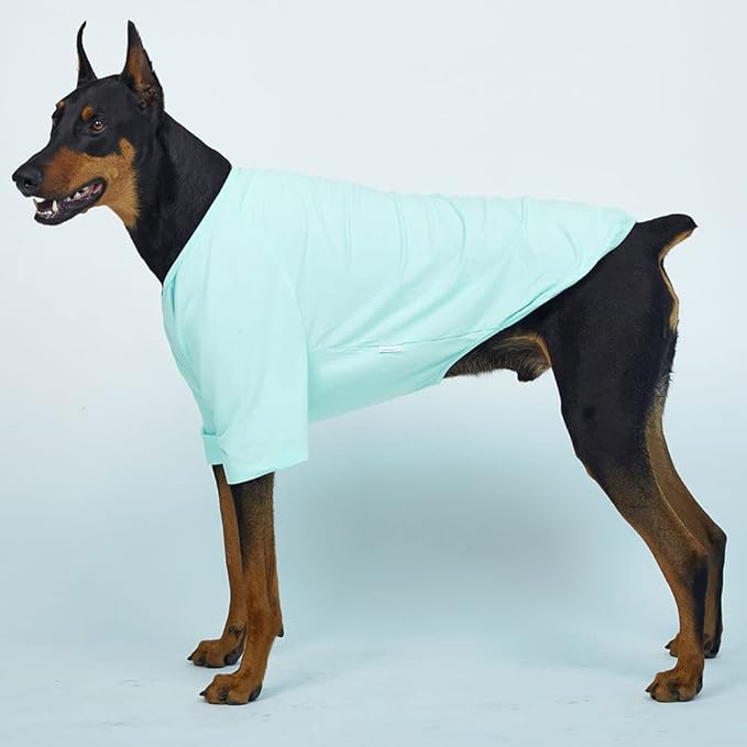 Dog Shirt for Small Dogs Plain T-Shirts Soft Breathable Dog Cotton Shirt pet Clothes (3X-Large, Mint)