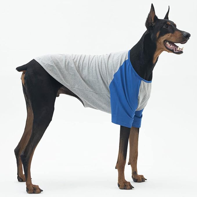 Dog Shirt for Small and Large Dogs Raglan Cotton T-Shirts Soft Breathable Dog Shirts pet Clothes Gray Series (4X-Large, Gray/Blue)