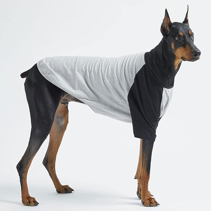 Dog Shirt for Small and Large Dogs Raglan Cotton T-Shirts Soft Breathable Dog Shirts pet Clothes Gray Series (2X-Large, Gray/Black)