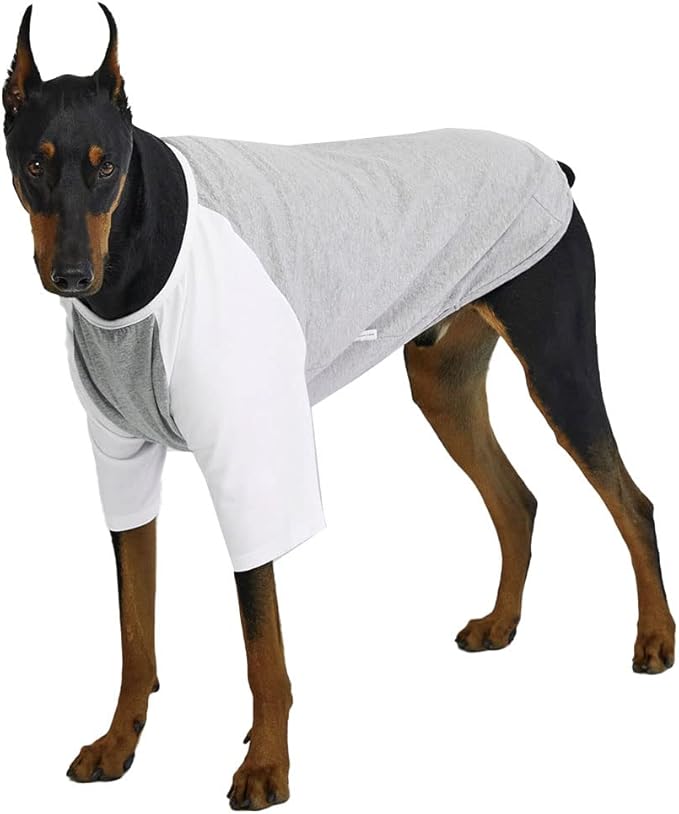 Dog Shirt for Small and Large Dogs Raglan Cotton T-Shirts Soft Breathable Dog Shirts pet Clothes Gray Series (5X-Large, Gray/White)