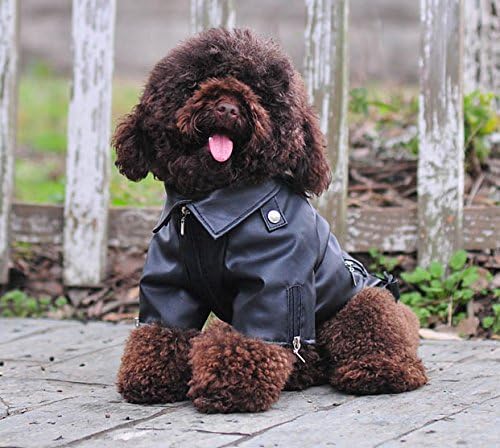 Lovelonglong Cool Dog Leather Jacket, Warm Coats Dogs Windproof Cold Weather Coats for Large Medium Small Dogs, Miniature Poodle Clothing Black L