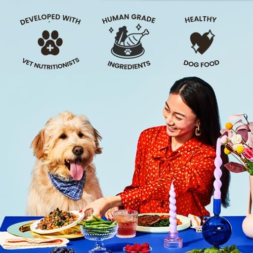 The Pets Table Human-Grade Turkey Casserole Fresh Dog Food, Dog Food Topper or Complete Meal, 9 Count of 36-oz Pouches, 20.5lbs