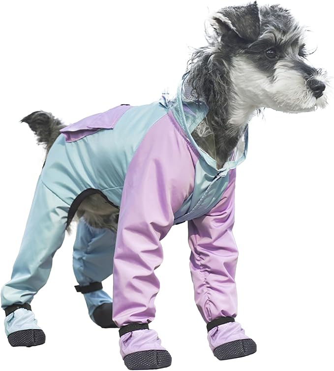 Dog Raincoat with Transparent Hood, Waterproof Jacket for Small Dogs with Snap-Button Chest, Leash Hole & Hook-and-Loop Cuffs Sleeves, Back Pocket for Treats (Blue, Large)