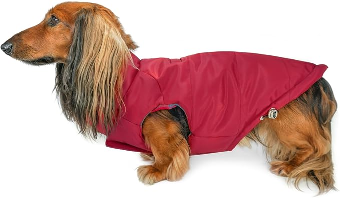 DJANGO Reversible Puffer Dog Coat – Warm Winter Dog Jacket & Water-Repellent Insulated Dog Coat with Harness Hole, Windproof, Adjustable Fit for Small & Medium Dogs, Dachshunds – Lava Red, Small