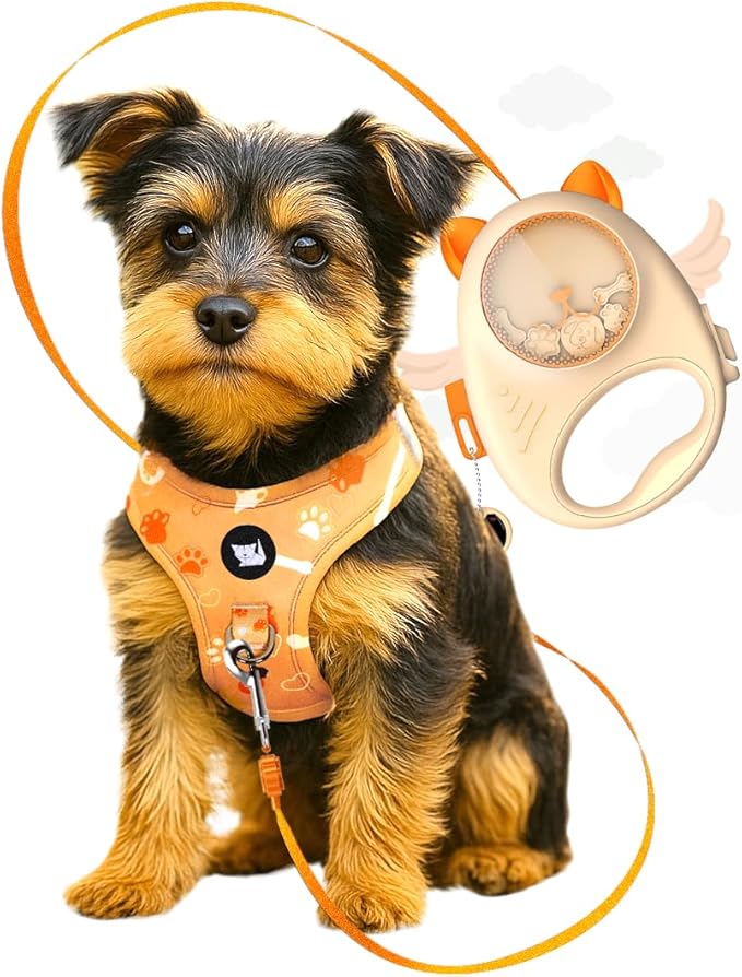 Dog & Cat Retractable Leash, 13ft Strong Nylon Tape with Auto-Locking, Tangle-Free Walking Pet Leash for Small Dogs/Cats Up to 20 lbs, One-Touch Brake, Comfortable Handle, PupPlay Design