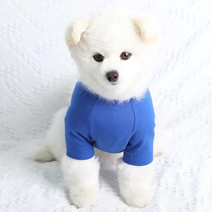 Dog Shirt for Small Dogs Plain T-Shirts Soft Breathable Dog Cotton Shirt pet Clothes (Small, Blue)