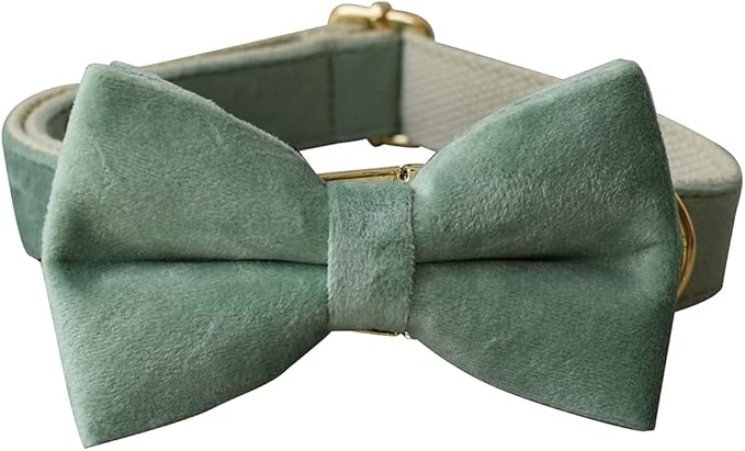 Dog Collar Custom Personalized Engraved Name and Phone Number for Puppy Small Medium Large Pets (S, Fruit Green)