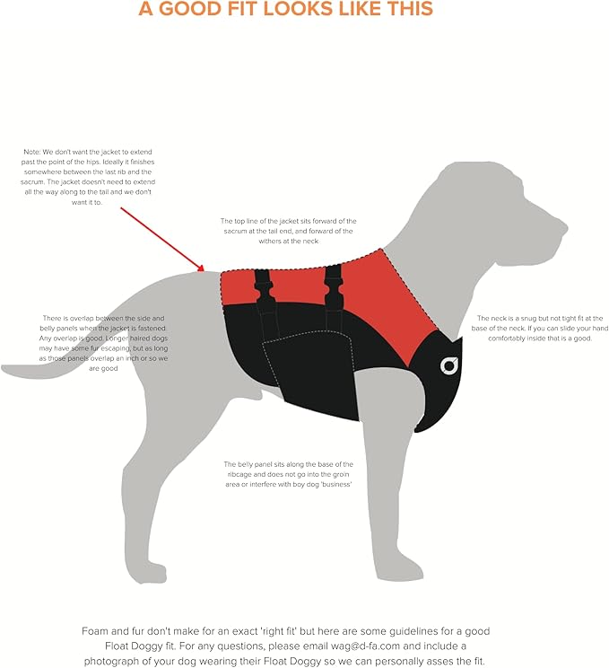 Stunt Puppy Float Doggy Life Jacket, Ergonomic Dog Life Vest for Swimming, Patented Design for Secure Fit, Large, Blue