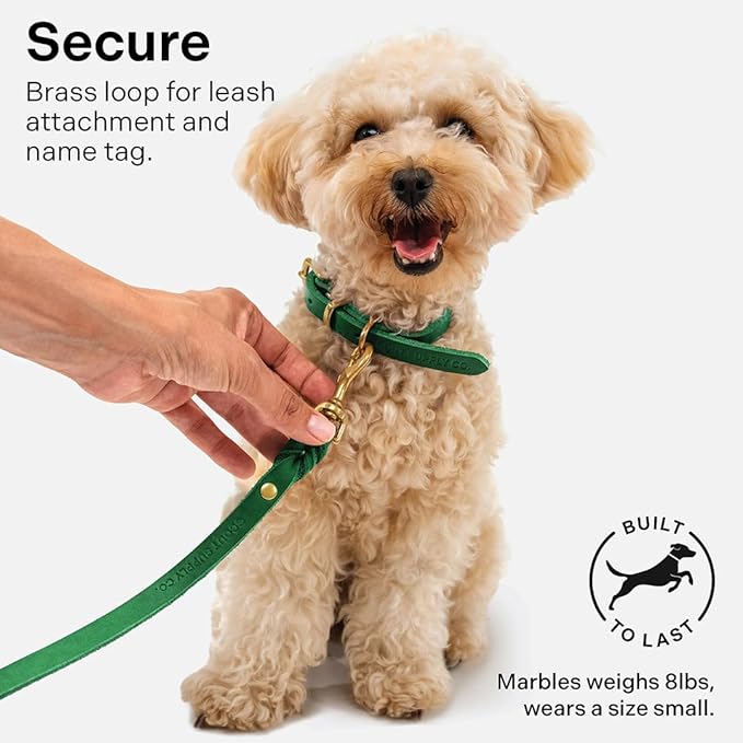 Classic Genuine Leather Dog Collar | Dog Collars for Medium Dogs, Small Dogs, Large Dogs & Extra Large Dog | Wide Dog Collar | Heavy Duty Collar (Green, Large)