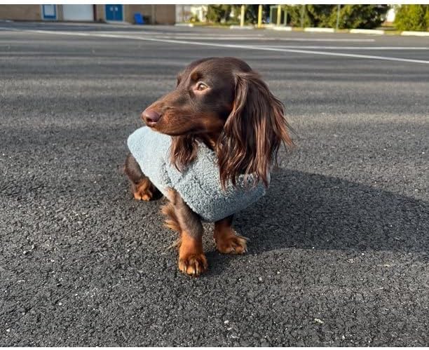 Gooby Sherpa Vest Dog Sweater - Stone Blue, Small - Warm Fuzzy Fleece Step in Dog Jacket Without Ring Leash for Small to Medium Dogs