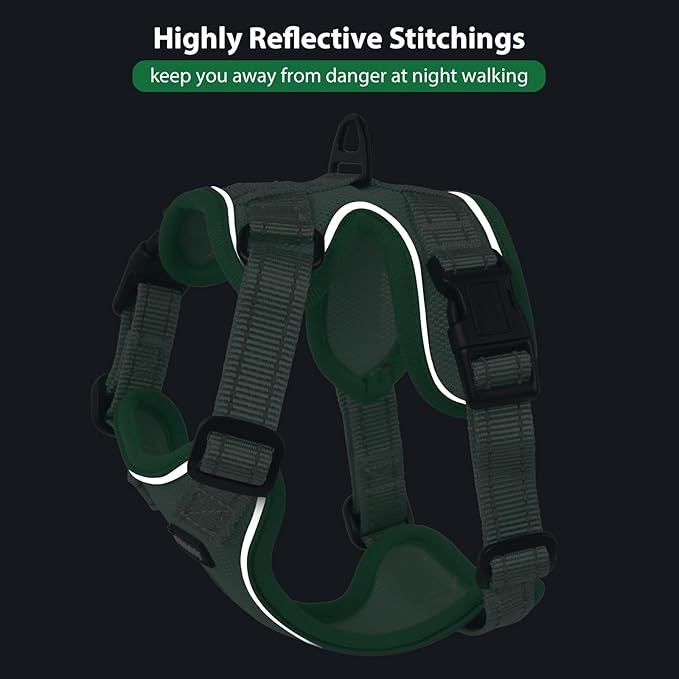 Rttochfy Cat Harness and Leash Set, Adjustable and Reflective Cat Vest, Escape Proof Kitten Harness, Easy to Put on with 3 Buckles for Cats Walking and Traveling (Red, L)