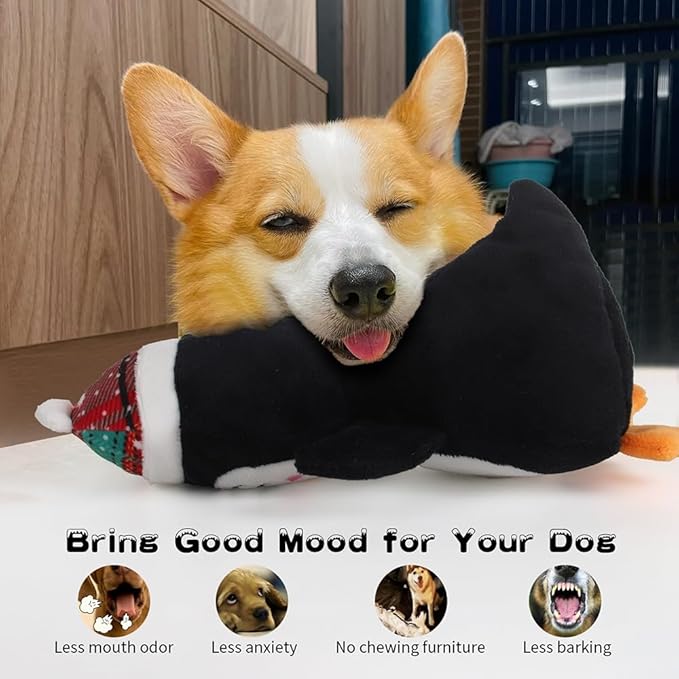 Dog Squeak Toys for Small, Medium & Large Dogs, Tough Chew Toy for Teething & Chewing, Durable Interactive Puppy, 5-Pack