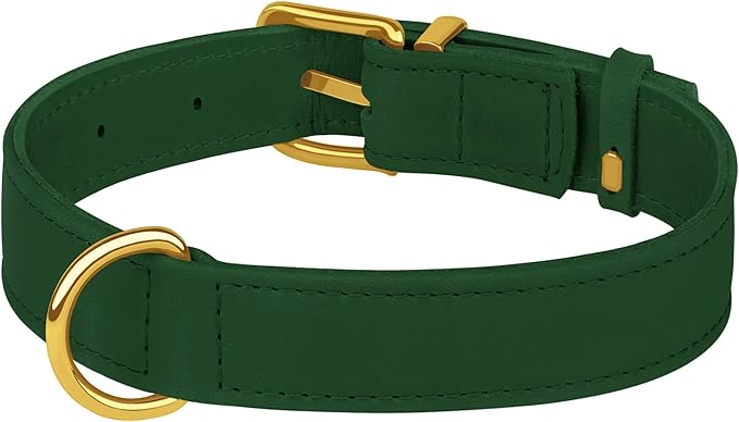 Leather Dog Collar - Heavy Duty Adjustable Soft Padded Pet Collars for Small Medium Large Dogs Breed - Black Green Brown Pink Red Blue (Green, XL, 19"-24" Neck Fit)