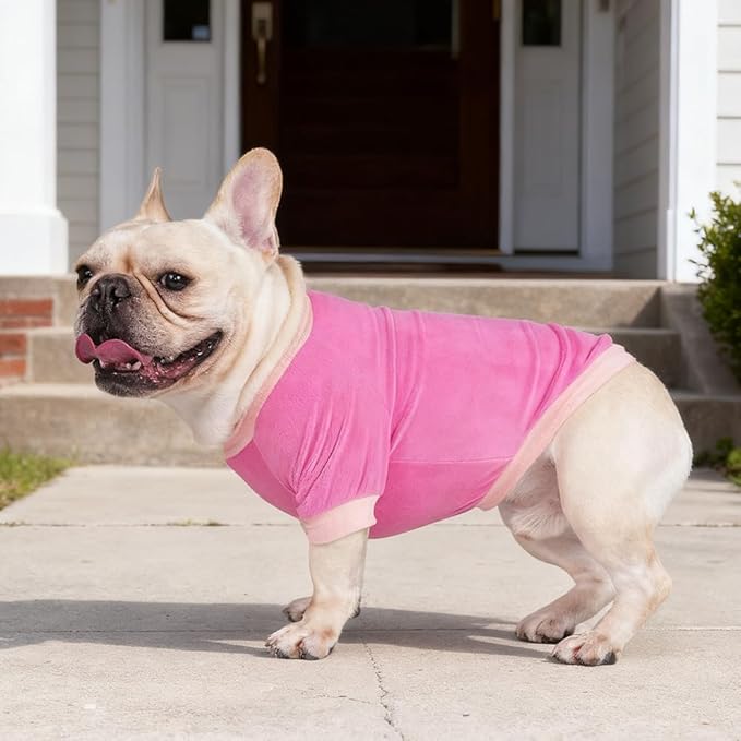 GreenJoy Classic Fleece Dog Sweater – Soft & Warm Stretchy Sweatshirt for Small Dogs & Cats, Cold-Weather Pullover for Everyday Wear (Dark Pink, Medium)