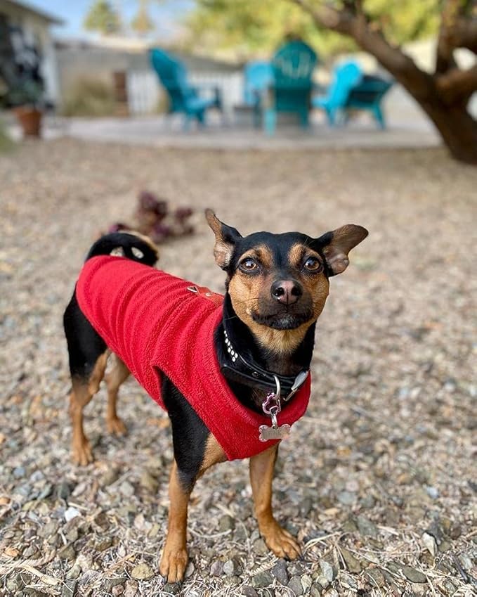 Gooby - Fleece Vest, Small Dog Pullover Fleece Jacket with Leash Ring, Red, Large