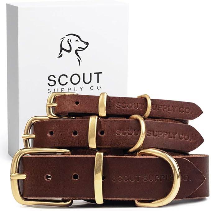 Scout Supply Classic Leather Dog Collar | Heavy Duty Thick Full Grain Leather | Waterproof & Rust-Proof Brass Hardware (Dark Brown, Small)