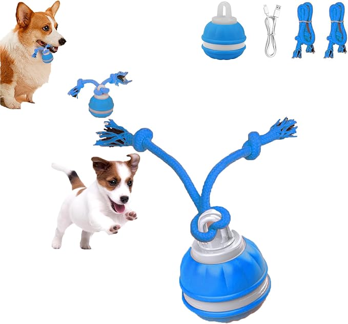 Interactive Dog Toys for Small Dogs,Peppy Pet Ball for Dogs,Puppy Toys,Active Rolling Dog Ball,Dog Toys to Keep Them Busy for Daily Training