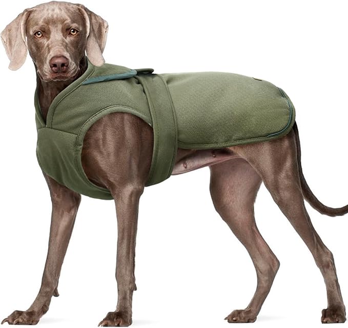 Kuoser Canvas Dog Coat, Warm Dog Jacket Reflective Fleece Pet Cold Weather Coat, Warm Doggie Clothes Waterproof Winter Vest with Zipper Leash Hole for Small Medium Large Dogs, Army Green L