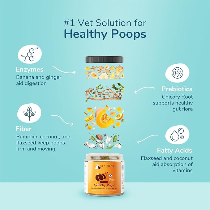kin+kind Organic Fiber for Dogs&Cats - Pumpkin Boost for Healthy Poops - Digestive Health - Flax Seed, Ginger, Turmeric and Coconut - Made in USA - Bundle (3 x 8 oz)