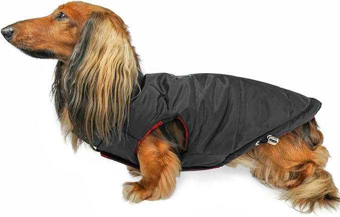 DJANGO Reversible Puffer Dog Coat – Warm Winter Dog Jacket & Water-Repellent Insulated Dog Coat with Harness Hole, Windproof, Adjustable Fit Vest for Small & Medium Dogs, Dachshunds – Black, X-Small