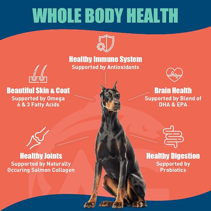 SUPER3+ (Salmon Freeze Dried Raw Salmon Fish Oil) Dry Dog Food | Puppy & Adult | Small & Large Breed | High-Protein | Grain-Free | All-Natural Nutrition | 20-lbs