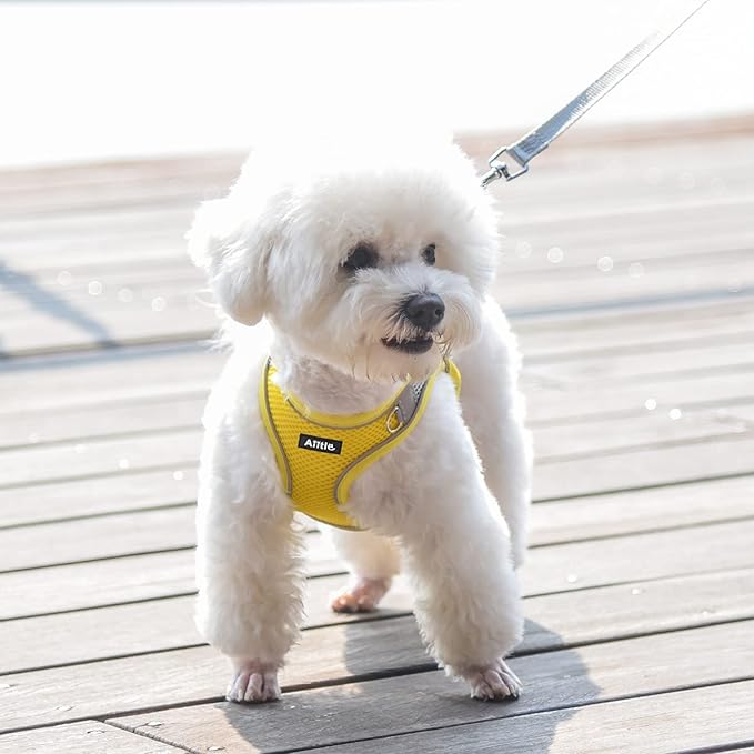 AIITLE Dog Harness, Summer No-Pull Cat Harnesses with a Leash, Adjustable Reflective Puppy Vest, Pet Vest Escape Proof, Outdoor Walking, Camping for Extra Small Dogs and House Cats Yellow XXXS