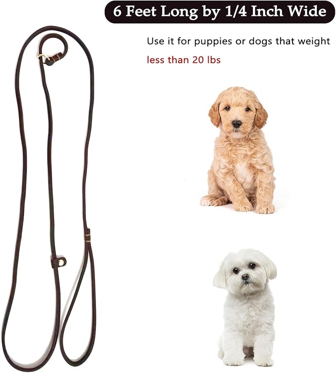 Guiding Star Leather Slip Lead Dog Leash for Small Dogs & Puppies 6 Ft x 1/4 Inch,Luxurious and Lightweight Leather Training Dog Leash for Walking with Soft Handle (Brown)